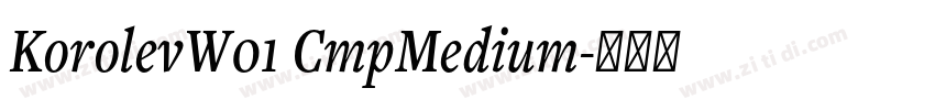 KorolevW01 CmpMedium字体转换